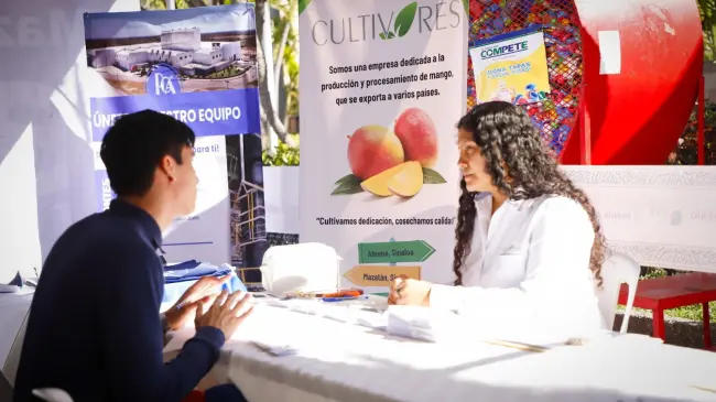 Feria del Empleo en Sinaloa, municipio.