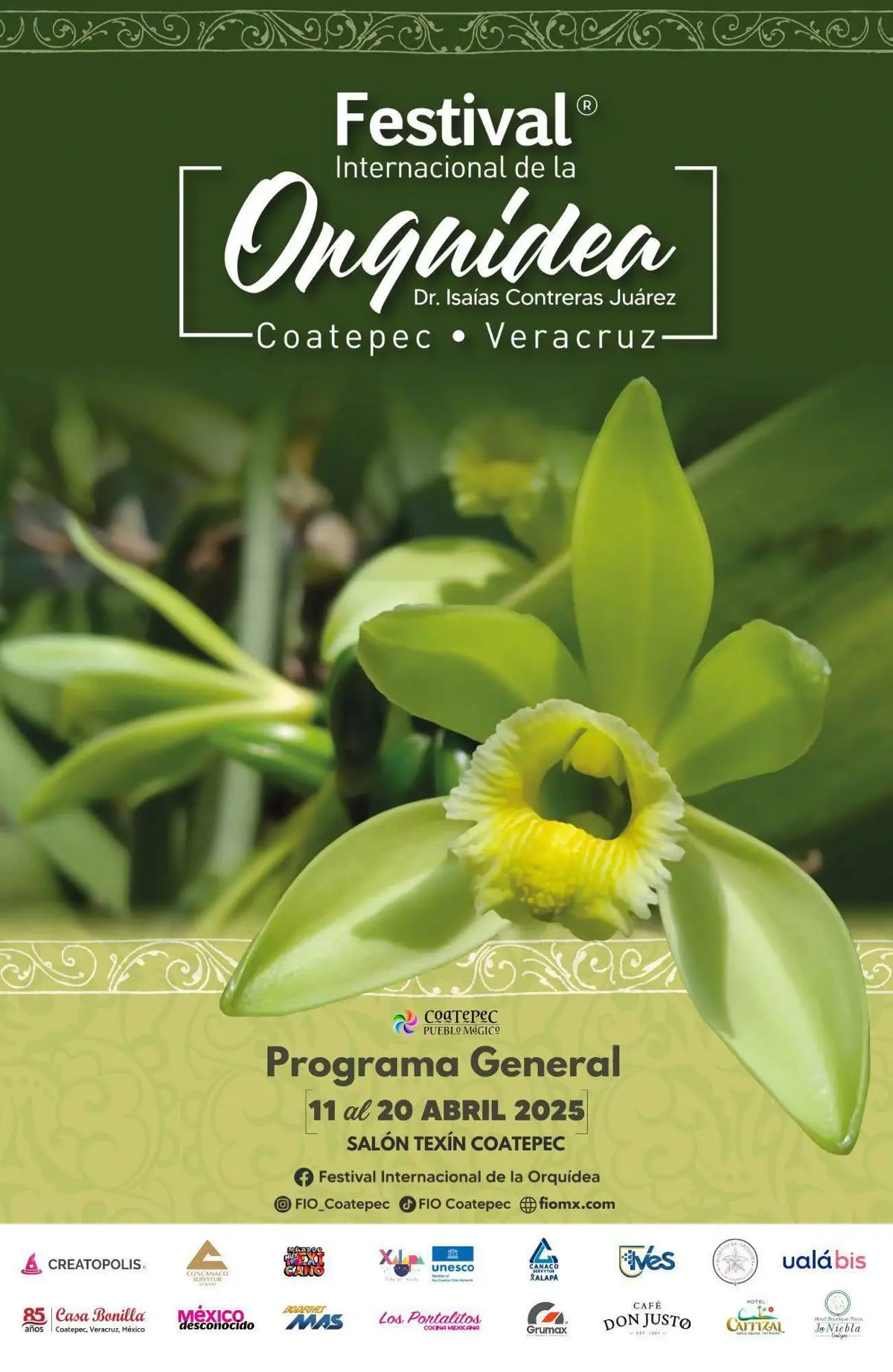 Festival Internacional de la Orquídea en Coatepec. Foto: cortesía.