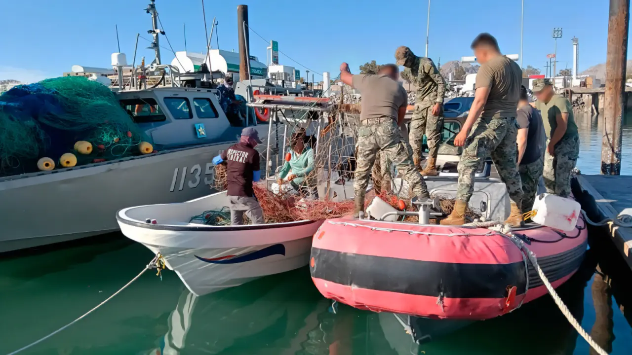Aseguran Redes Ilegales para Pesca de Totoaba en el Alto Golfo de California.