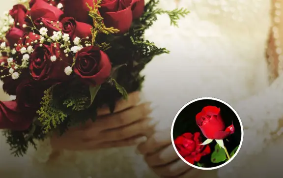 ¿Cuándo se dan las 20 rosas en abril?