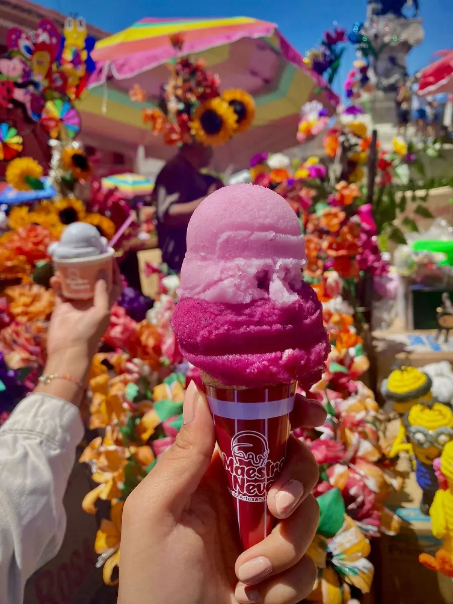 Actividades que se pueden hacer en el Día de las Flores Guanajuato 2025 Foto: Estado de Guanajuato (Facebook)