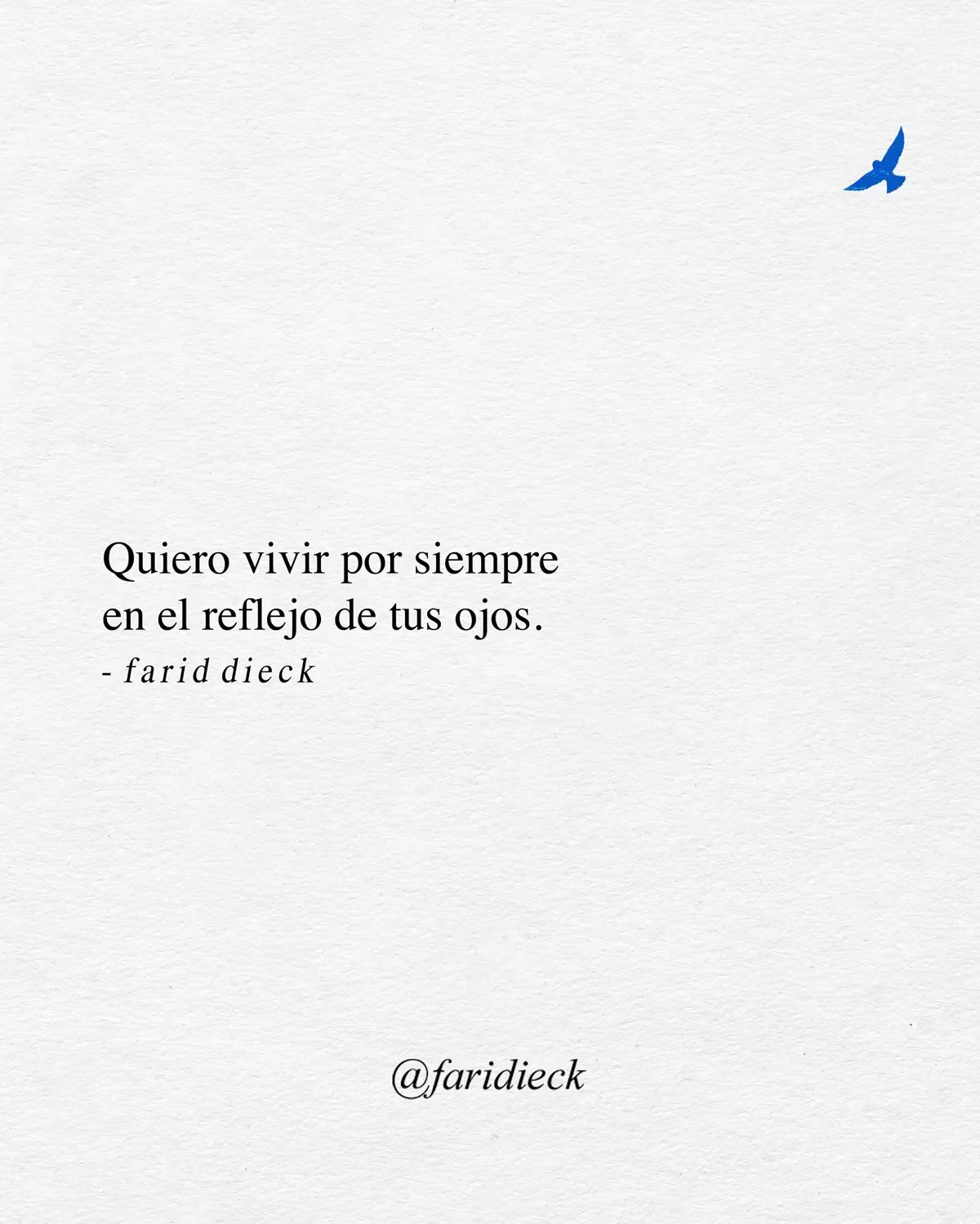 Frases de Farid Dieck