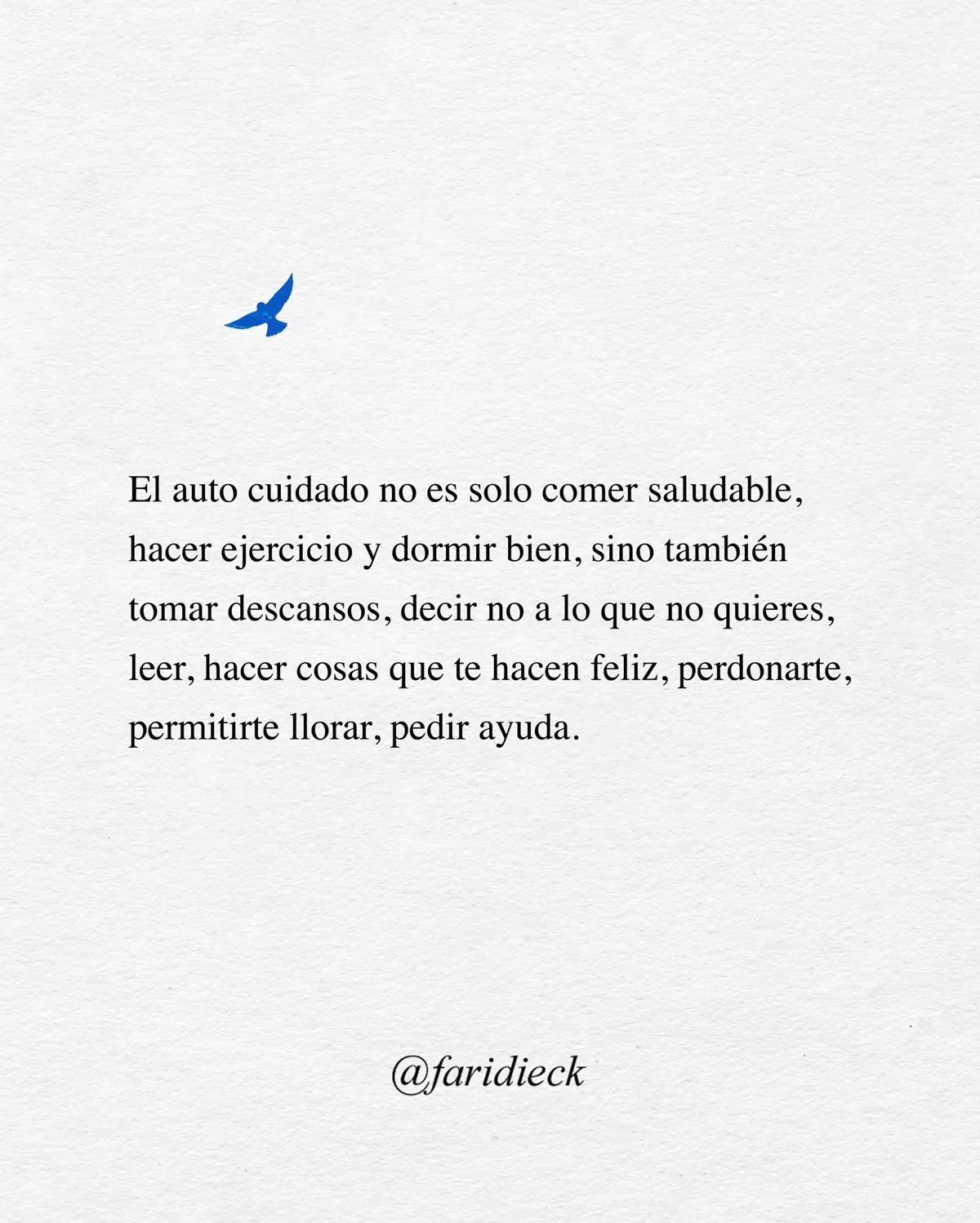 Frases de Farid Dieck