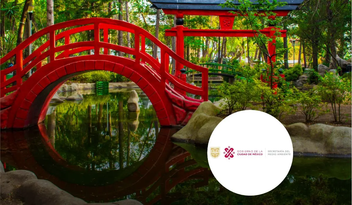 Parque Japón, en la alcaldía de Álvaro Obregón, CDMX. Foto: cortesía