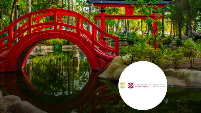 Parque Japón, en la alcaldía de Álvaro Obregón, CDMX. Foto: cortesía
