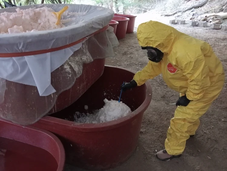 Acciones de seguridad en Sinaloa: Detenciones, decomisos y destrucción de plantíos