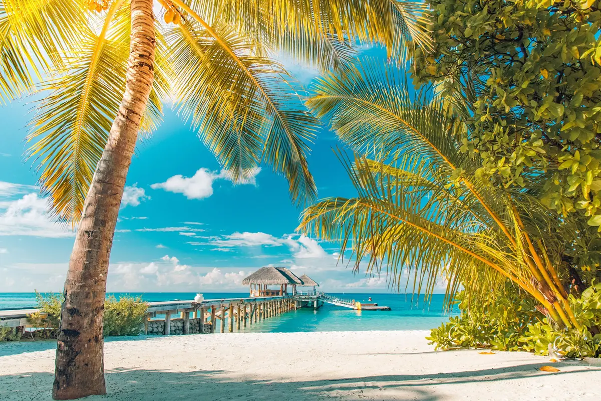 Conoce estas playas únicas. Foto: Cortesía