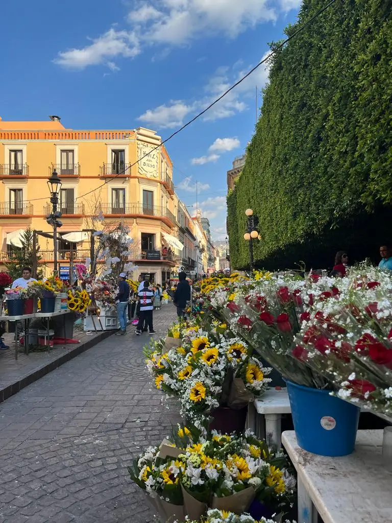 Actividades que se puede en hacer en el Día de las Flores Foto: Compitas (Facebook)