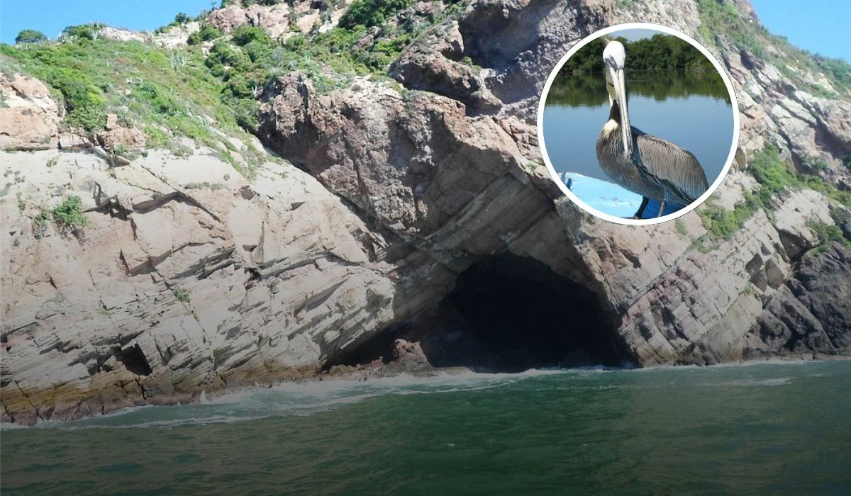 Playas publicas que visitar en cualquier momento en Mazatlán Foto: Tripavisor