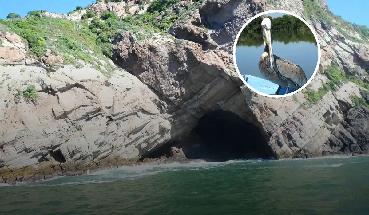 Playas publicas que visitar en cualquier momento en Mazatlán Foto: Tripavisor