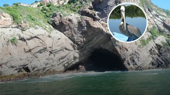 Playas publicas que visitar en cualquier  momento en Mazatlán Foto: Tripavisor