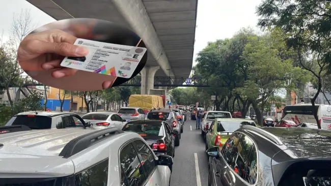 Estos documentos vehiculares cuentan con un nuevo diseño y varias mejoras. Edición de foto: TBN