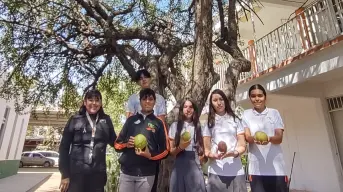 Alumnos del CECyTE en Culiacán realizan innovador proyecto científico, impulsados por centenario árbol de Ayale