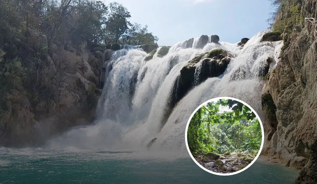 En Semana Santa visita las cascadas de aguas cristalinas en San Luis Potosí Foto: Tripavisor
