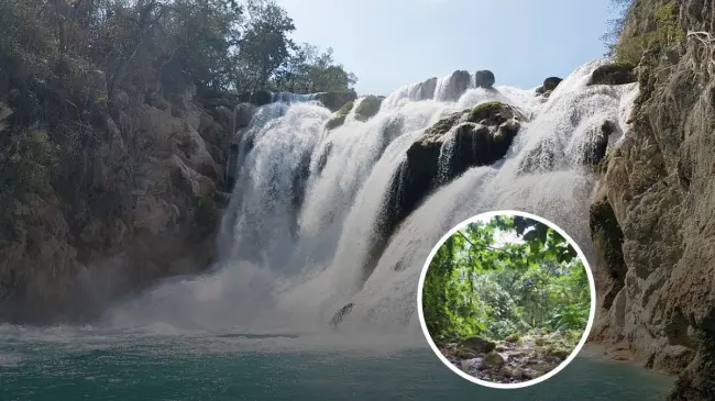 En Semana Santa visita las cascadas de aguas cristalinas en San Luis Potosí Foto: Tripavisor