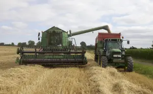 ¡A Sembrar el Futuro! Así Ayudará el Plan México al Campo