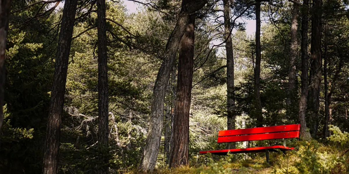 Banco Rojo en un bosque. Foto. Pixabay.