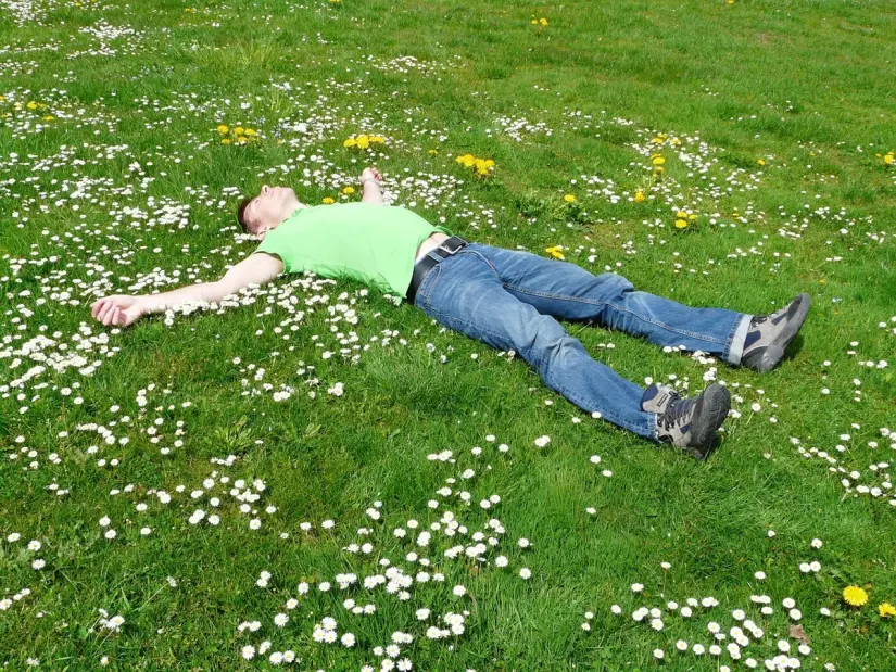 Descansando. Foto. Pixabay.