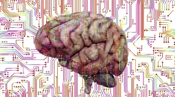 Un Milagro en la Ciencia: Uso de IA permite volver a hablar a mujer con parálisis