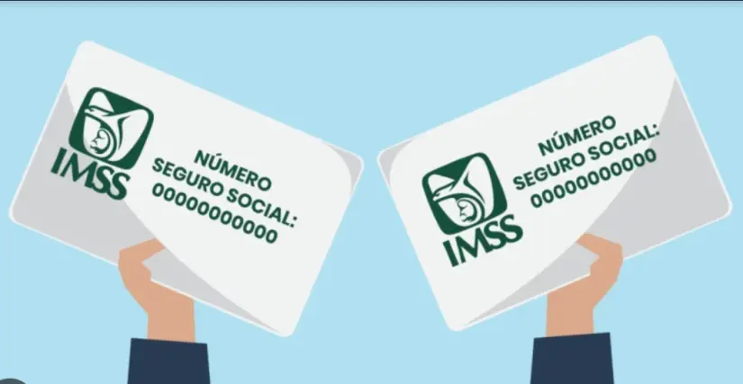 Número de Seguridad Social. Foto: cortesía.
