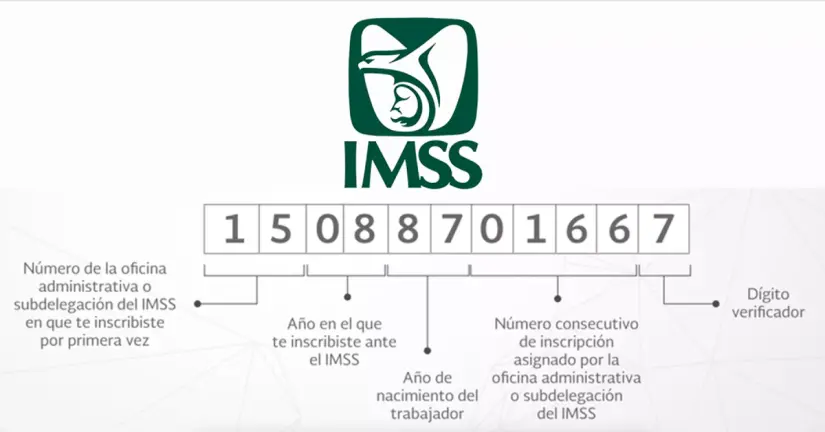 Número de Seguridad Social. Foto: cortesía.