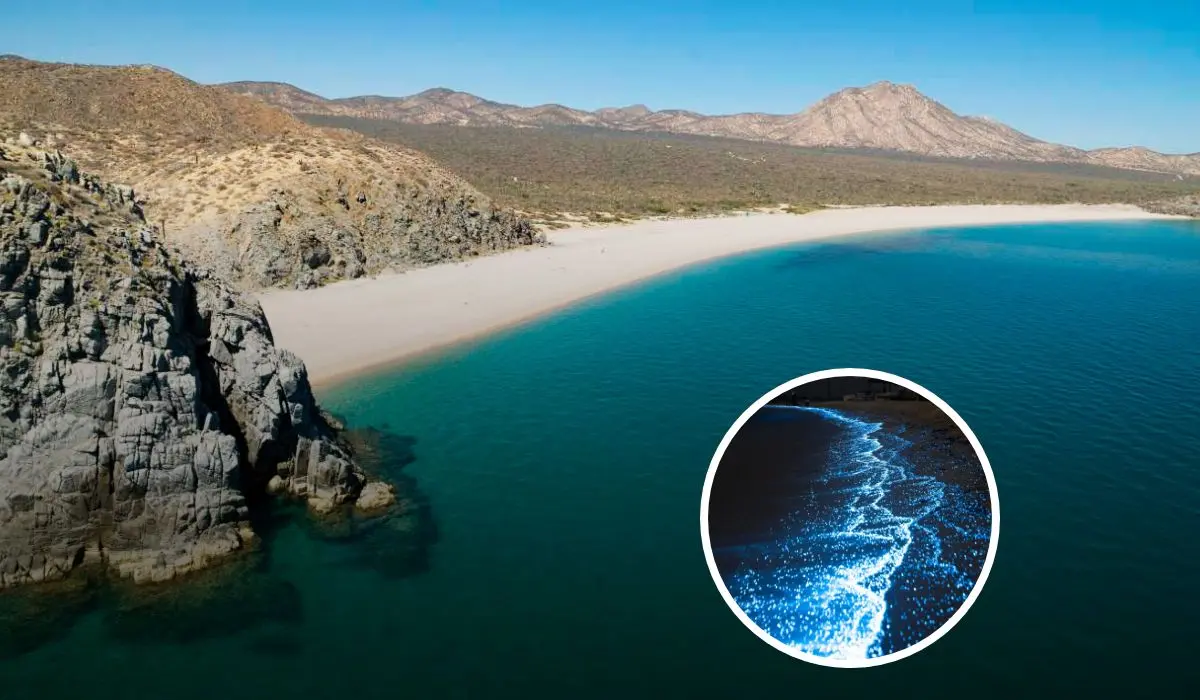 Estos son los detalles de la playa El Saltito en Baja California Sur para ver la bioluminiscencia. Foto: La Paz México.