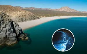 Cómo llegar a la playa El Saltito en Baja California Sur, ideal para ver la bioluminiscencia