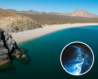 Cómo llegar a la playa El Saltito en Baja California Sur, ideal para ver la bioluminiscencia