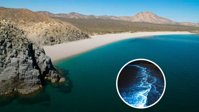 Estos son los detalles de la playa El Saltito en Baja California Sur para ver la bioluminiscencia. Foto: La Paz México.