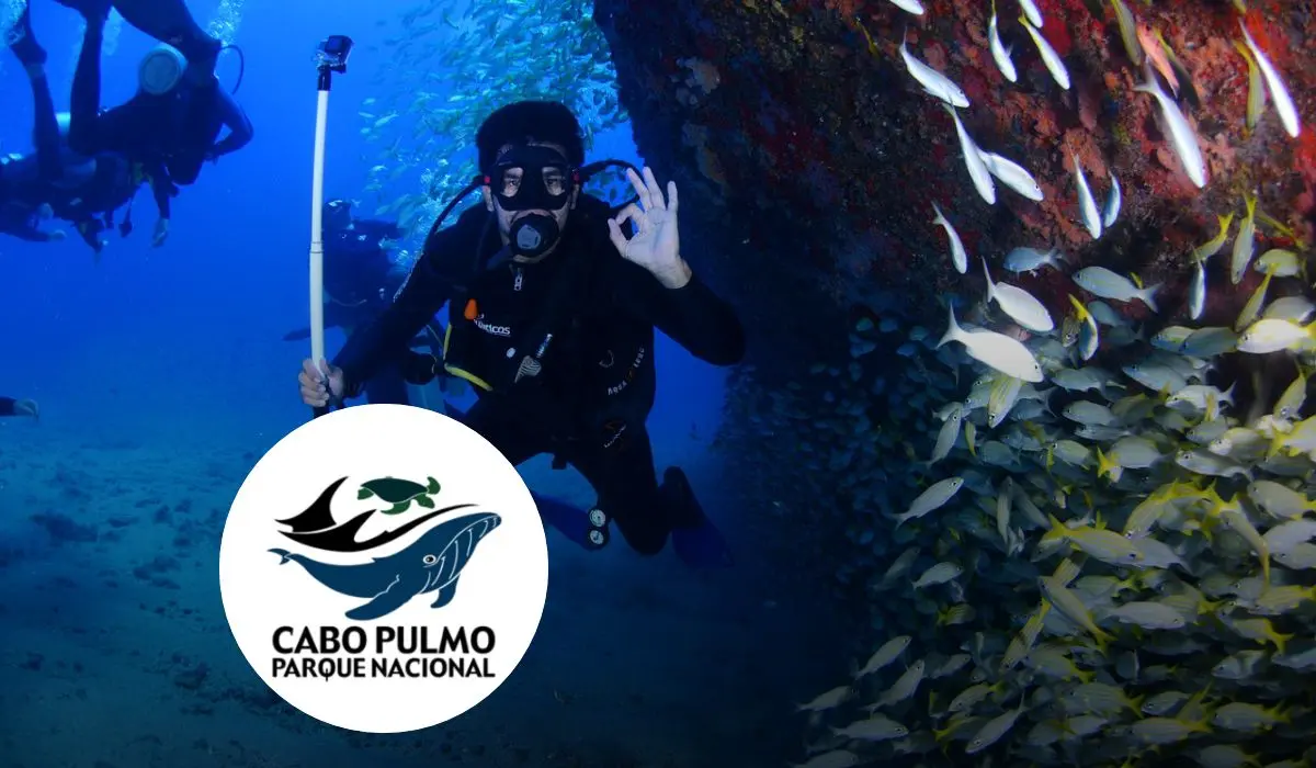 Conoce los mejores lugares para bucear en Cabo Pulmo, Baja California Sur. Foto: Pixabay/cortesía