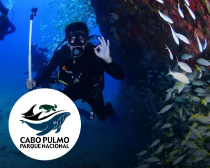 Cabo Pulmo el Acuario del Mundo en Baja California Sur te permite bucear con más de 6 mil especies marinas