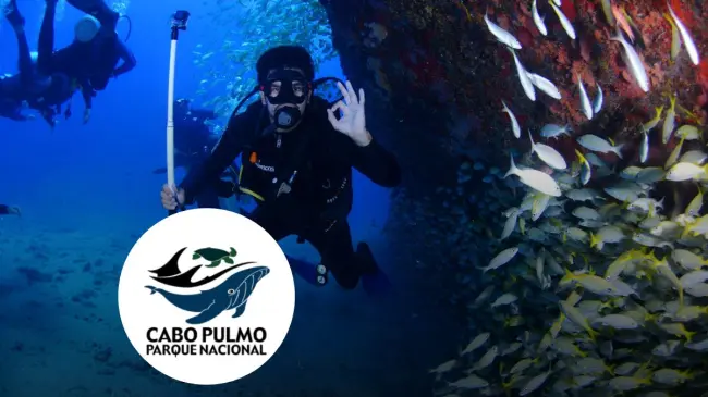 Conoce los mejores lugares para bucear en Cabo Pulmo, Baja California Sur. Foto: Pixabay/cortesía