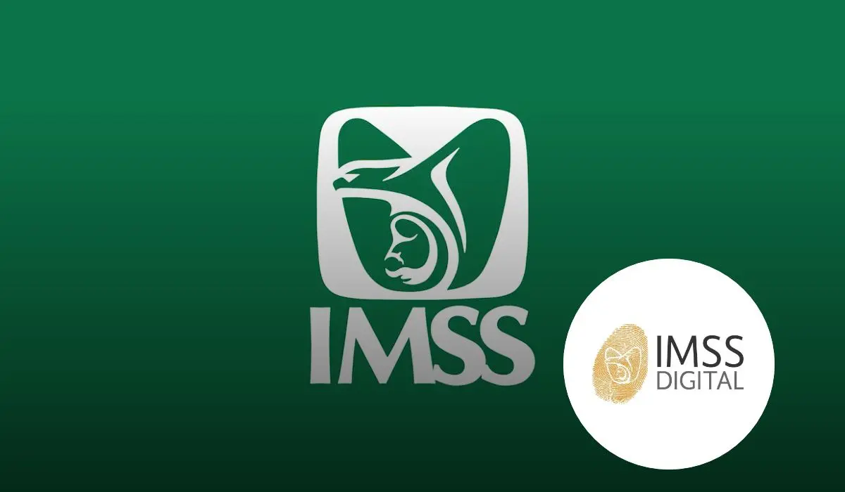 Conoce las formas en que puedes consultar tu estatus en el IMSS. Foto: cortesía