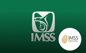 Conoce las formas en que puedes consultar tu estatus en el IMSS y tu Número de Seguridad Social