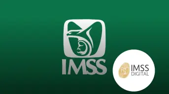 Conoce las formas en que puedes consultar tu estatus en el IMSS y tu Número de Seguridad Social