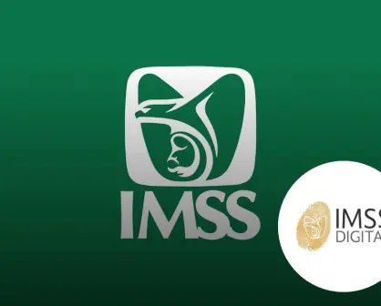 Conoce las formas en que puedes consultar tu estatus en el IMSS y tu Número de Seguridad Social