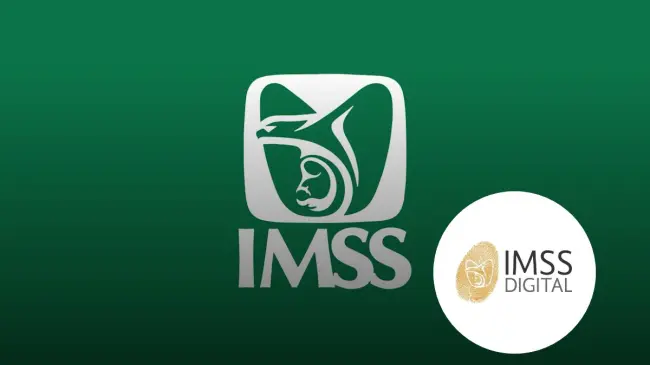 Conoce las formas en que puedes consultar tu estatus en el IMSS. Foto: cortesía
