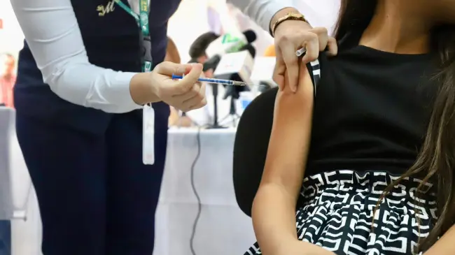 Exitosa vacunación contra influenza y COVID-19 en Sinaloa. Finalizó la jornada de vacunación, pero aún puedes inmunizarte en tu unidad médica más cercana.