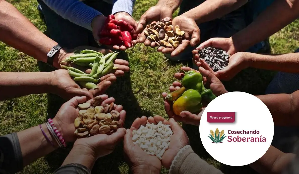 La iniciativa busca fortalecer la soberanía alimentaria. Foto: Gob. de México