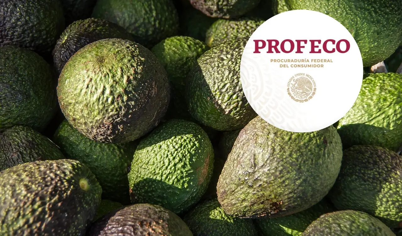 El aguacate es una de las frutas más apreciadas; descubre dónde encontrarlo al mejor precio. Edición de foto: TBN