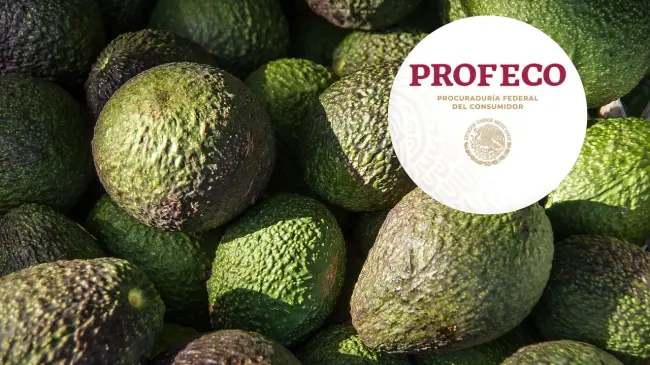 El aguacate es una de las frutas más apreciadas; descubre dónde encontrarlo al mejor precio. Edición de foto: TBN