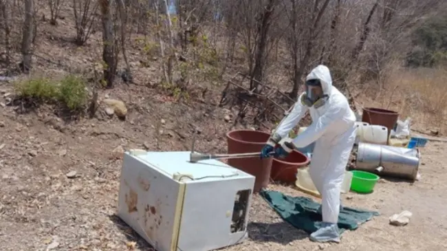 Con estas acciones se produjeron pérdidas millonarias a los grupos criminales en Sinaloa. Foto: SSPC