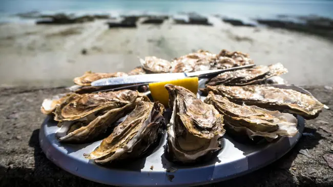 Estos son los detalles del Festival Gastronómico del Ostión 2025. Foto: Unsplash.