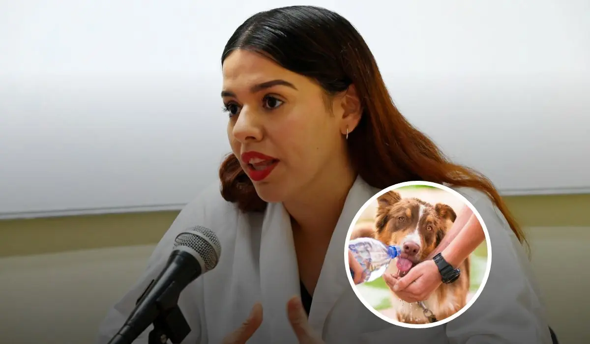 La doctora Yesenia Osuna Ramos, responsable de Medicina Interna de la Clínica de Pequeñas Especies de la Facultad de Medicina Veterinaria y Zootecnia de la UAS, nos comparte infomación de suma importancia para nuestros caninos y mascotas especiales. Foto: Cortesía.