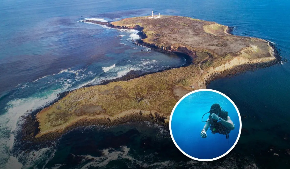 Estos son los detalles de la Isla de Todos Santos ubicada en Baja California. Foto: Facebook Conservación de Islas.