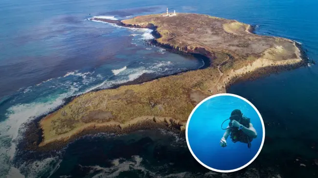 Estos son los detalles de la Isla de Todos Santos ubicada en Baja California. Foto: Facebook Conservación de Islas.