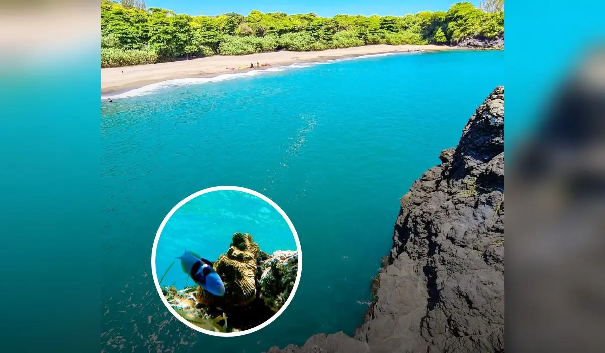 Playas vírgenes para visitar en cualquier momento cerca de Veracruz Foto: Ruteando Por México/Yo Amo Tamiahua