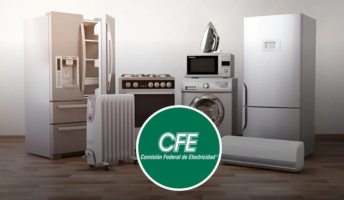 Este es el proceso para renovar tus electrodomésticos con la CFE. Foto: Freepik.