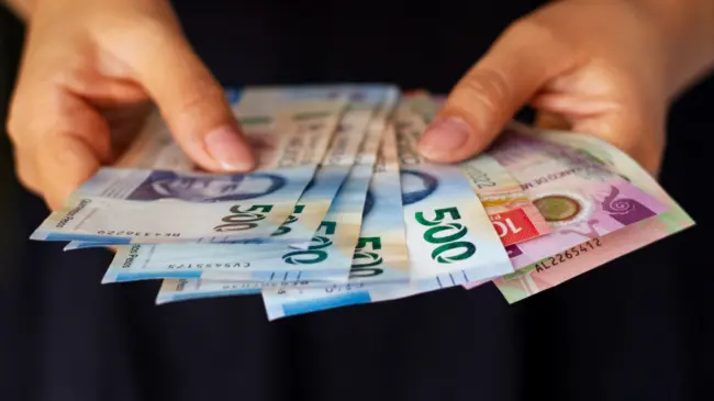 Los trabajadores tienen derecho a recibir utilidades cada año. Foto: Freepik