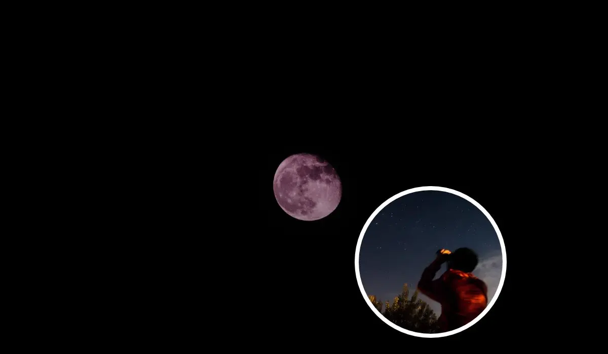 Estos son los estados donde podrás ver la Luna Rosa 2025 en México. Foto: Unsplash.